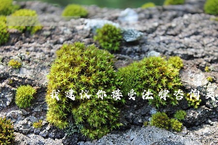 我建议你接受法律咨询英文 我建议你接受法律咨询英文