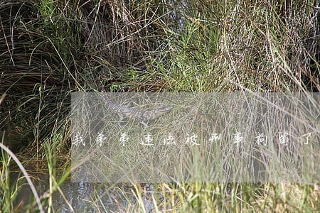 我弟弟违法被刑事拘留了 我弟弟违法被刑事拘留了
