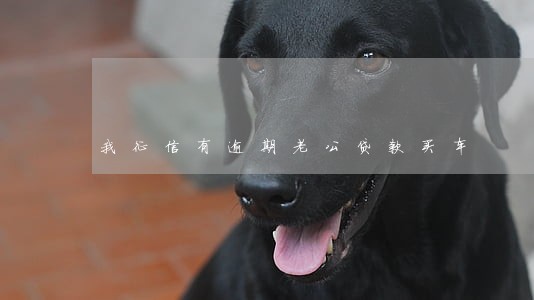 我征信有逾期老公贷款买车 我征信有逾期老公贷款买车