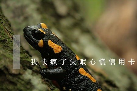 我快疯了失眠心慌信用卡快逾期了 我快疯了失眠心慌信用卡快逾期了