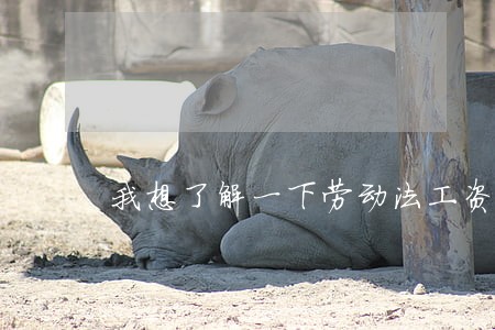 我想了解一下劳动法工资是多少 我想了解一下劳动法工资是多少