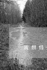 我想借光律师 我想借光律师