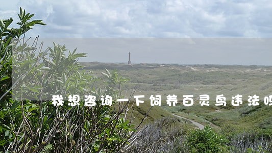 我想咨询一下饲养百灵鸟违法吗 我想咨询一下饲养百灵鸟违法吗