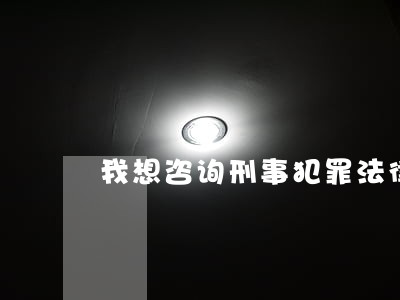 我想咨询刑事犯罪法律问题