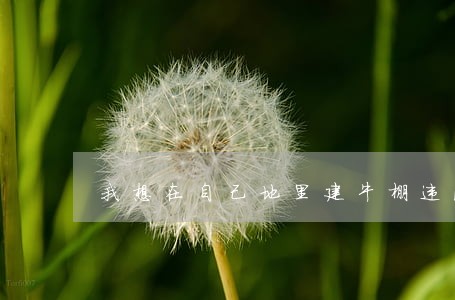 我想在自己地里建牛棚违法吗 我想在自己地里建牛棚违法吗
