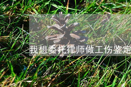 我想委托律师做工伤鉴定 我想委托律师做工伤鉴定