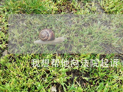 我想帮他向法院起诉 我想帮他向法院起诉