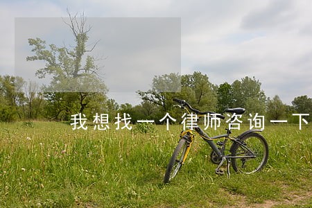 我想找一个律师咨询一下 我想找一个律师咨询一下