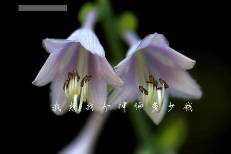 我想找个律师多少钱 我想找个律师多少钱