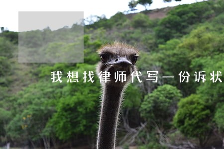 我想找律师代写一份诉状书 我想找律师代写一份诉状书