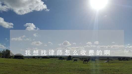 我想找律师怎么收费的啊 我想找律师怎么收费的啊