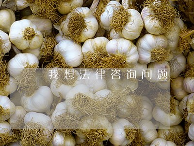 我想法律咨询问题 我想法律咨询问题