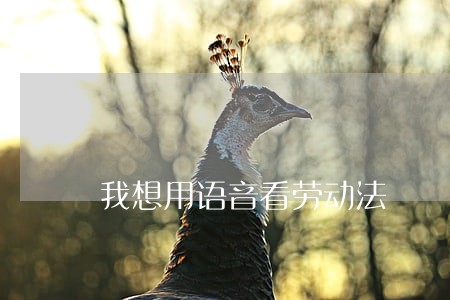 我想用语音看劳动法 我想用语音看劳动法