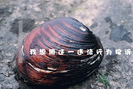 我想用这一违法行为投诉