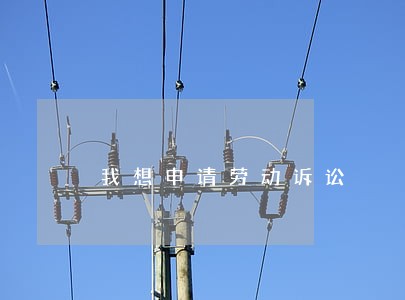 我想申请劳动诉讼