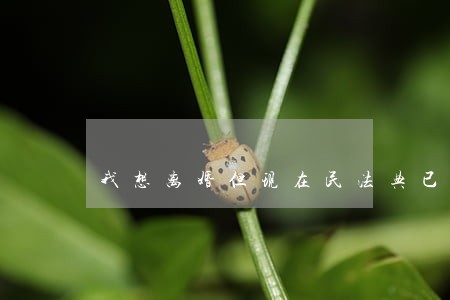我想离婚但现在民法典已经实施了 我想离婚但现在民法典已经实施了