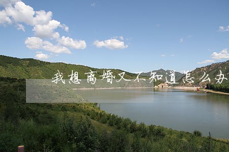 我想离婚又不知道怎么办 我想离婚又不知道怎么办