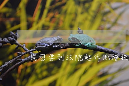我想要到法院起诉他给抚养费