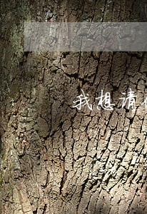我想请你做律师 我想请你做律师