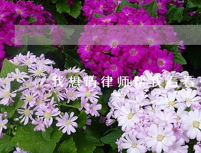 我想请律师帮我看看一份