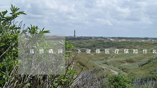 我想请问一下律师医疗保险什么用