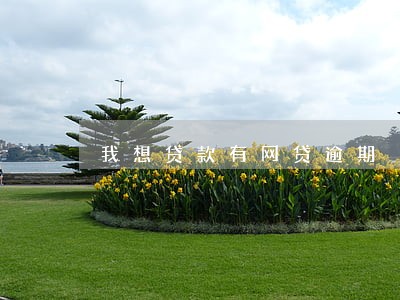 我想贷款有网贷逾期 我想贷款有网贷逾期