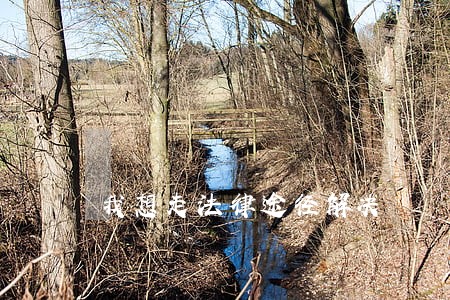 我想走法律途径解决 我想走法律途径解决