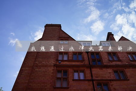 我想通过法律武器来解决
