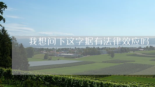 我想问下这字据有法律效应吗 我想问下这字据有法律效应吗