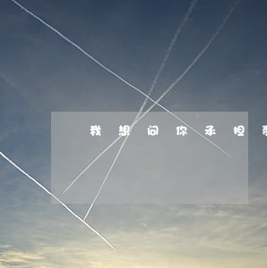 我想问你承担责任法律吗 我想问你承担责任法律吗