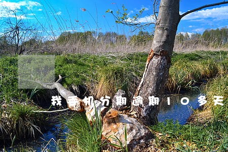 我手机分期逾期10多天 我手机分期逾期10多天