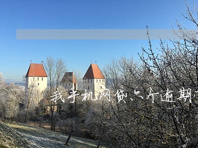 我手机网贷六个逾期了