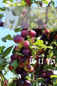 我打官司法院判我胜诉了 我打官司法院判我胜诉了