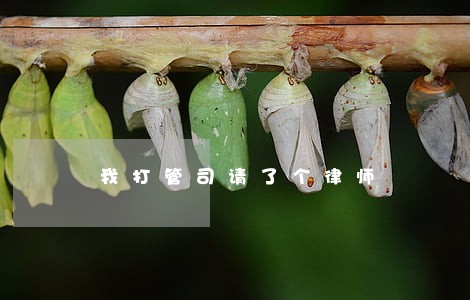 我打管司请了个律师