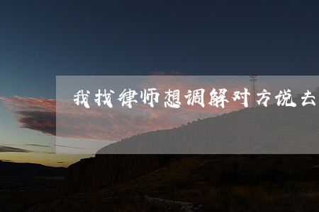 我找律师想调解对方说去起诉