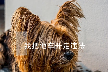 我把他车开走违法 我把他车开走违法