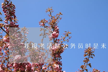 我报考法院公务员时是未婚 我报考法院公务员时是未婚