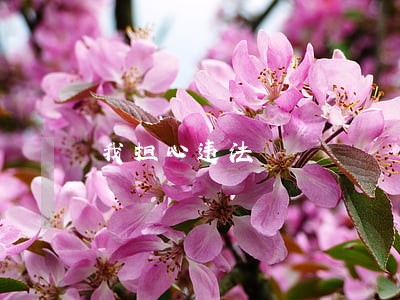 我担心违法 我担心违法