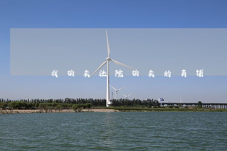 我拍卖法院拍卖的商铺 我拍卖法院拍卖的商铺
