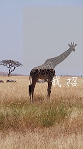 我招商信用卡逾期违约金高 我招商信用卡逾期违约金高