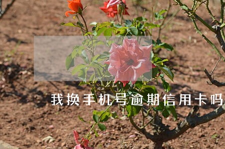 我换手机号逾期信用卡吗 我换手机号逾期信用卡吗