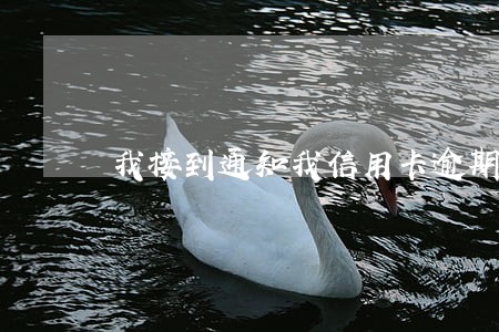 我接到通知我信用卡逾期了六年了 我接到通知我信用卡逾期了六年了