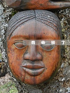 我撤销了诉讼 我撤销了诉讼