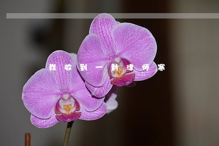 我收到一封律师寒 我收到一封律师寒