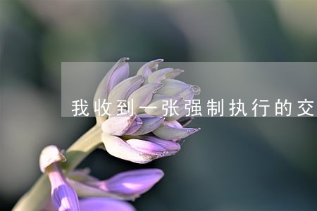我收到一张强制执行的交通违法单 我收到一张强制执行的交通违法单