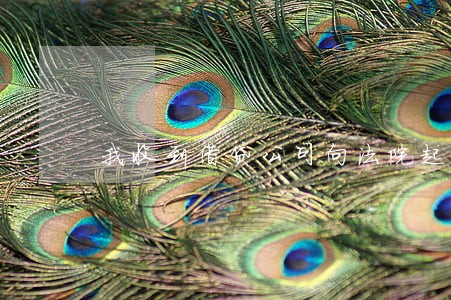 我收到借贷公司向法院起诉的传票 我收到借贷公司向法院起诉的传票