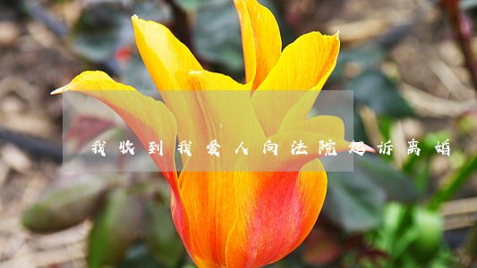 我收到我爱人向法院起诉离婚 我收到我爱人向法院起诉离婚