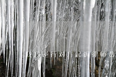 我方逆行对方起诉律师费怎么赔 我方逆行对方起诉律师费怎么赔