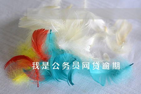 我是公务员网贷逾期 我是公务员网贷逾期