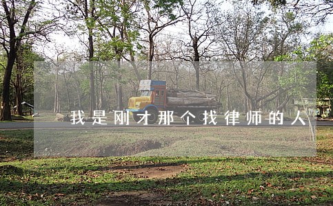 我是刚才那个找律师的人 我是刚才那个找律师的人